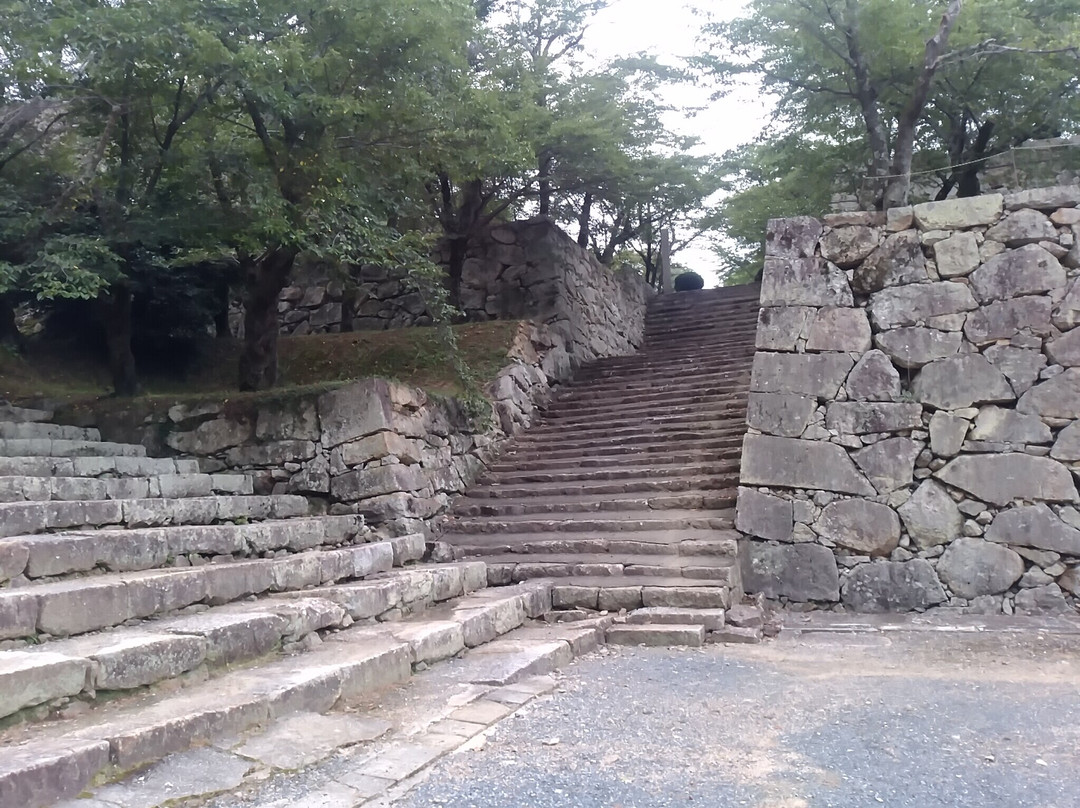 Tsuyama Castle (Kakuzan Park)-津山市必去景点