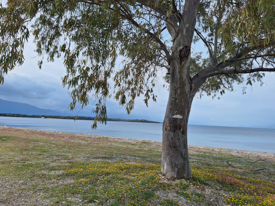 Lichadas (Kavos) Beach-Kavos必去景点