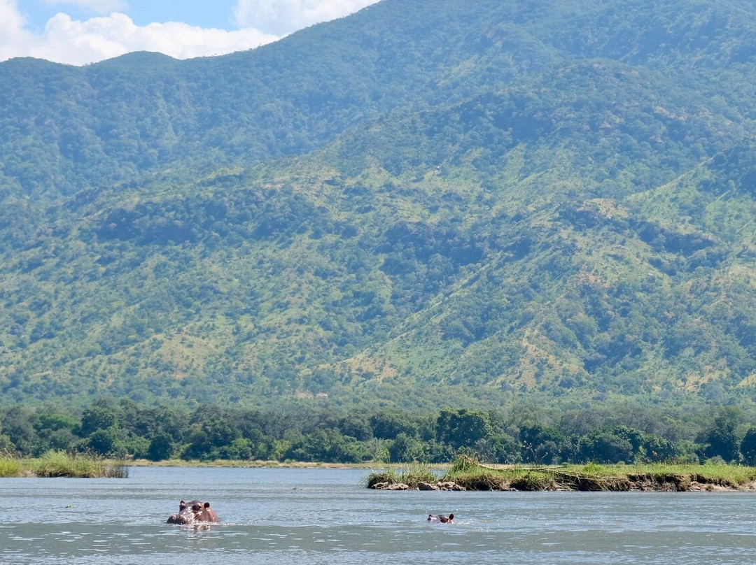 River Horse Safaris-Chirundu必去景点