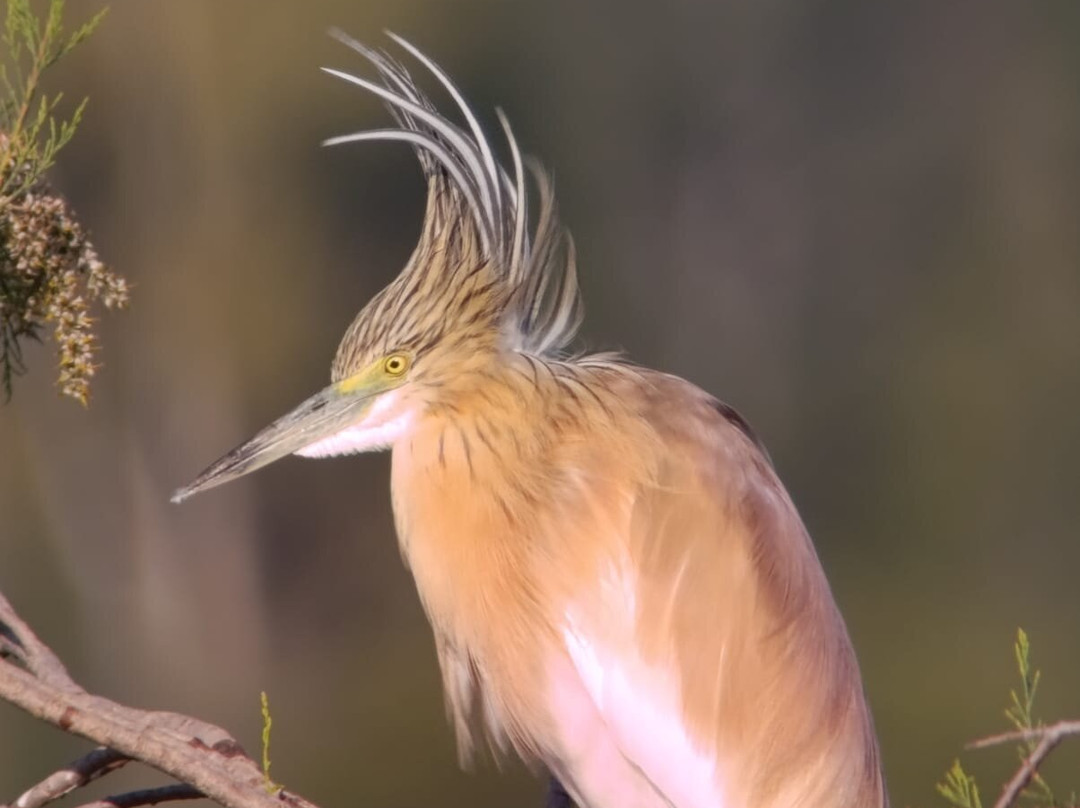 Greece Bird Tours-Marathon必去景点