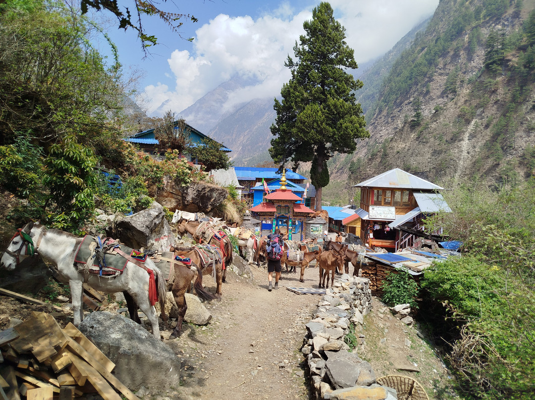 Manaslu Guides Nepal-Gorkha必去景点