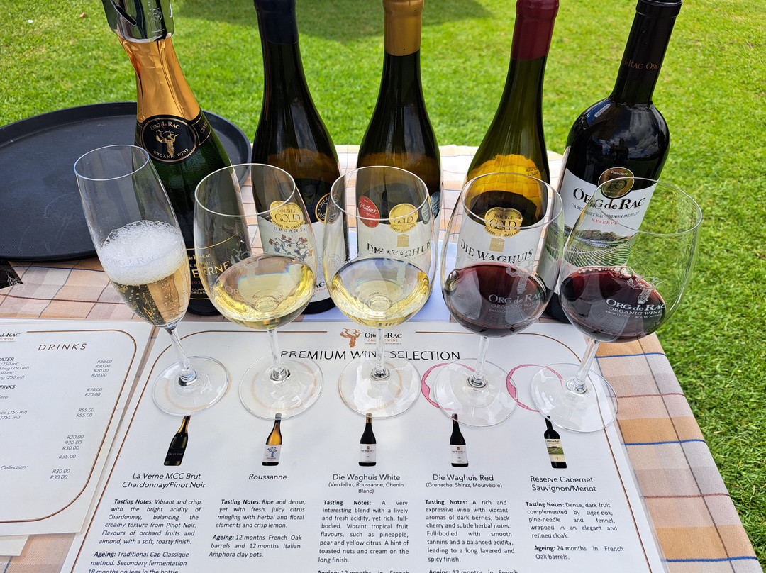 Org de Rac Organic Wine Estate-Piketberg必去景点