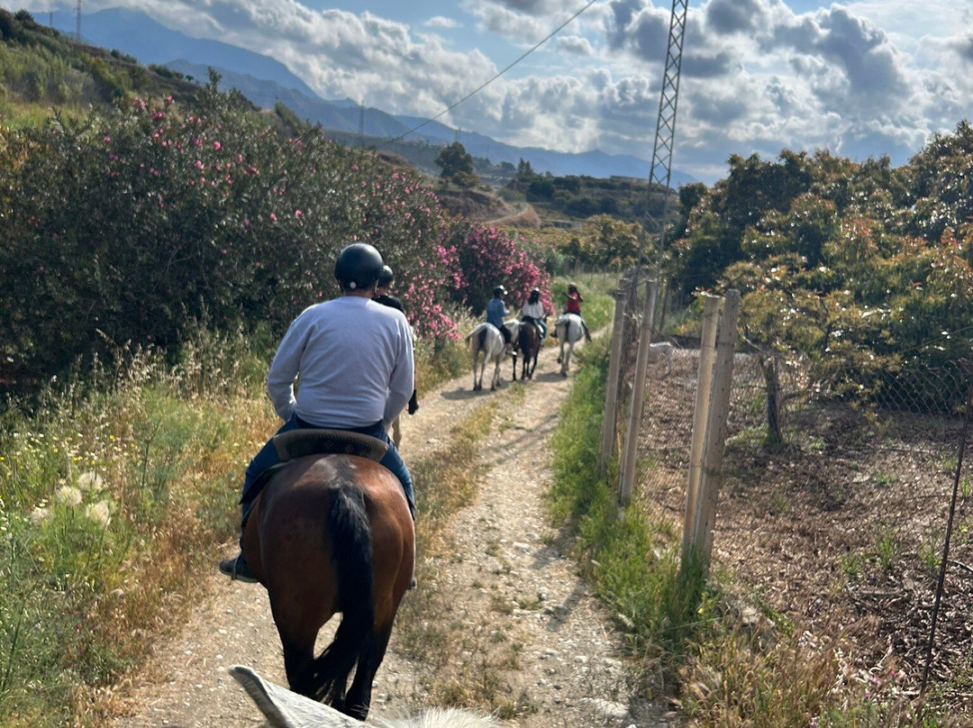 Andale Riding Nerja-内尔哈必去景点