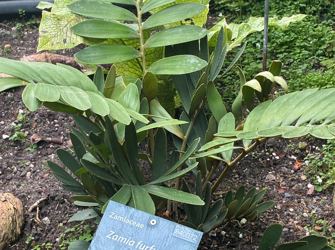 Pinetum Blijdenstein-Hilversum必去景点