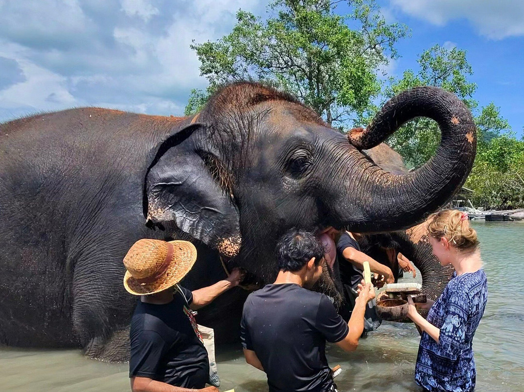 Koh Yao Elephant Beach-阁耀亚伊岛必去景点