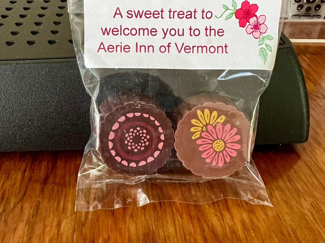 Aerie Inn of Vermont 旅馆主图