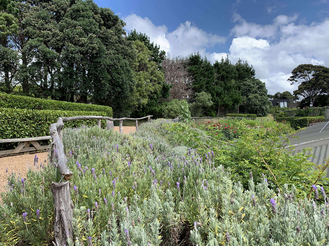 Mudbrick Vineyard-欧尼罗亚必去景点
