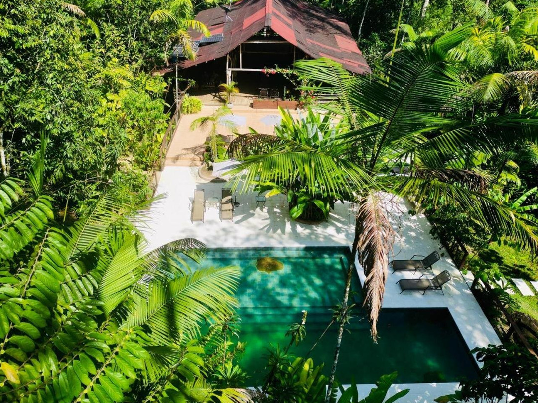 Casa Kiwi Jungle Lodge