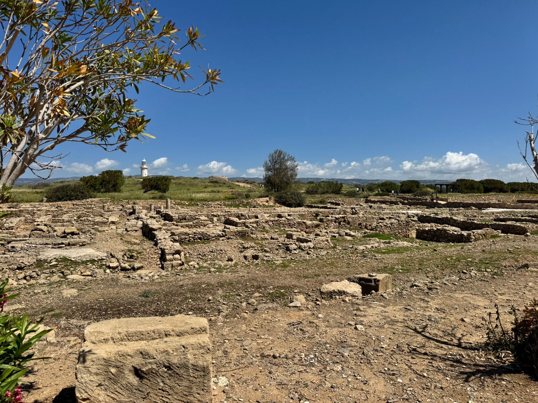 Kato Paphos Archaeological Park-帕福斯必去景点