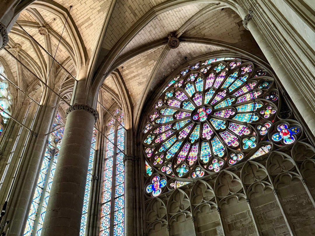 Carcassonne Cathedral-卡尔卡松必去景点
