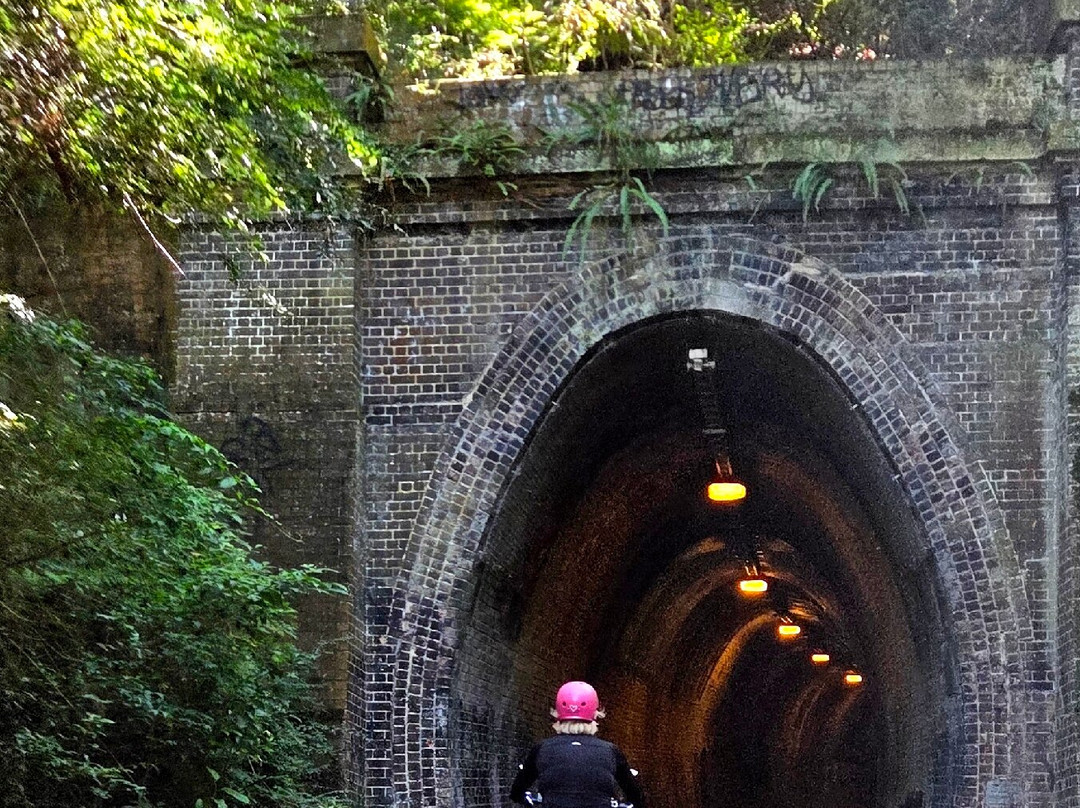 Fernleigh Track-纽卡斯尔必去景点
