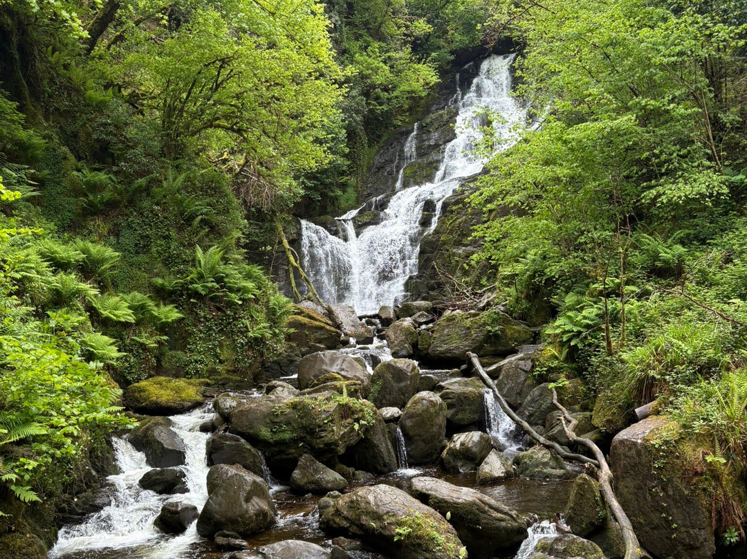 Kerry Experience Tours-Sneem必去景点