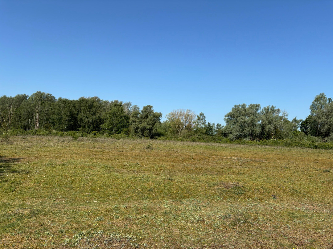 Paxton Pits Nature Reserve-Little Paxton必去景点