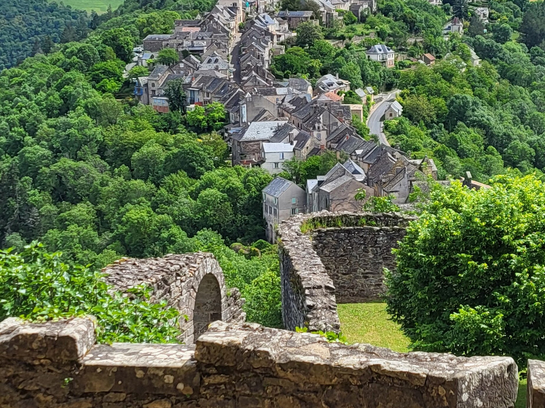 Forteresse Royale De Najac-Najac必去景点