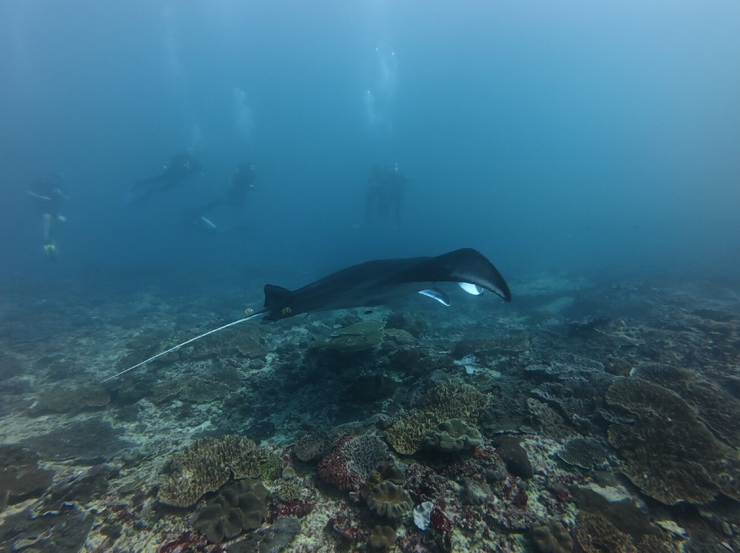 Scuba Go Sanur-Sanur Kauh必去景点