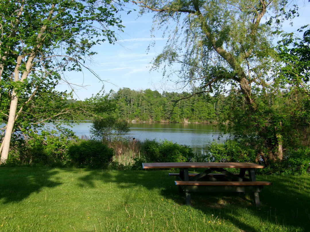 The Foundry Boat Launch & Picnic Area-Rollinsford必去景点