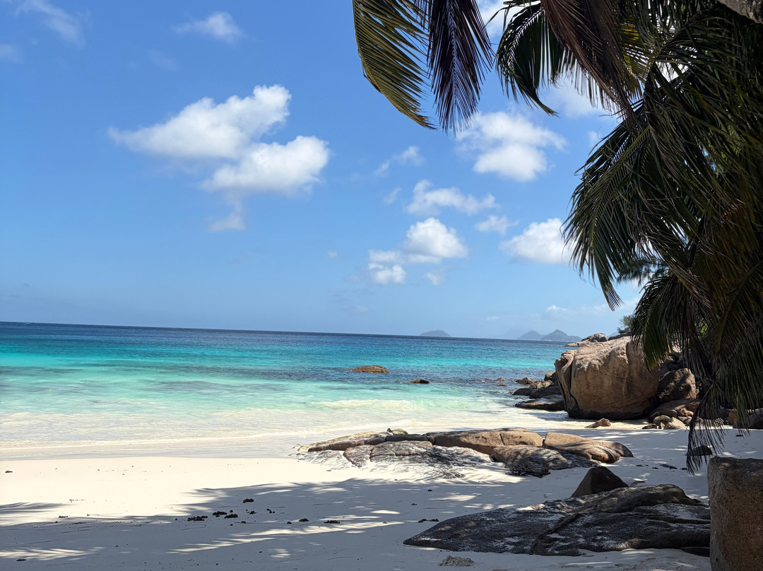 Petit Anse-Les Anses d'Arlet必去景点