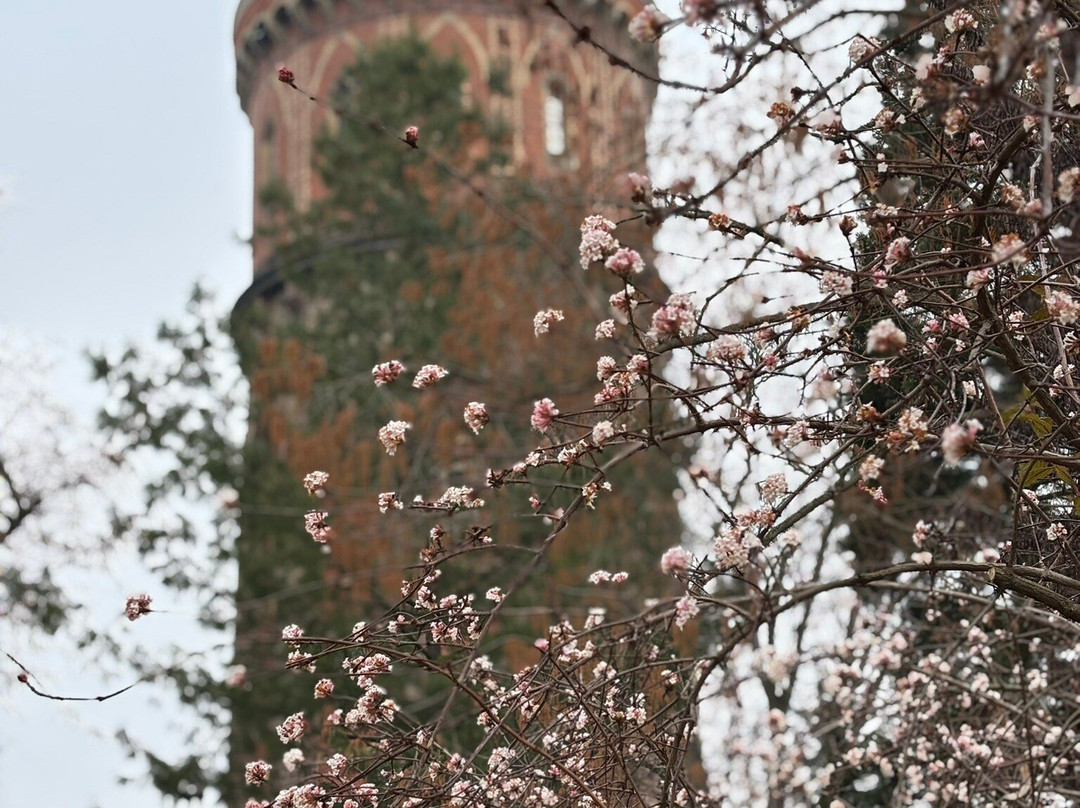 Château d'eau de Colmar-科尔马必去景点