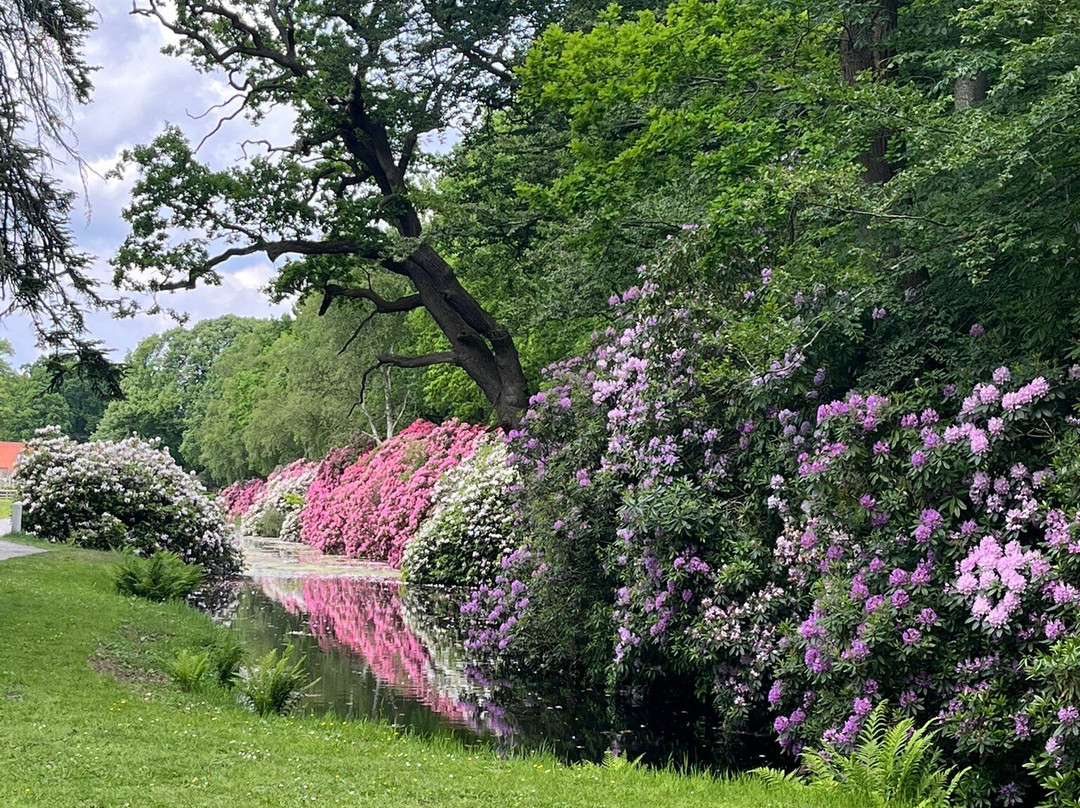 Schlosspark Lütetsburg-Luetetsburg必去景点