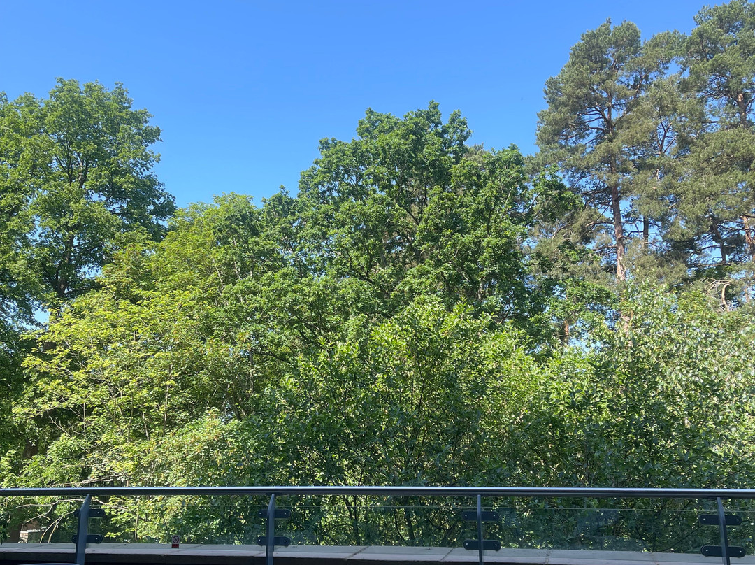 Aqua Sana Woburn Forest-Millbrook必去景点