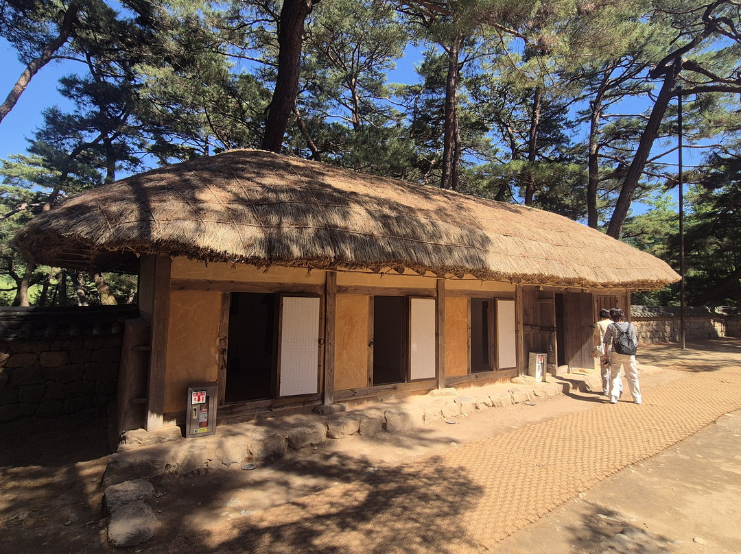 Cheongnyeongpo Cape-宁越郡必去景点