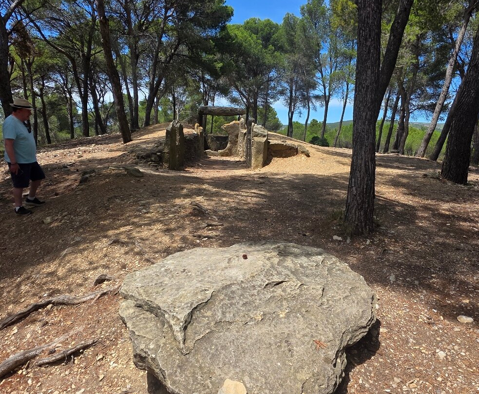 Dolmen des Fades-Pepieux必去景点