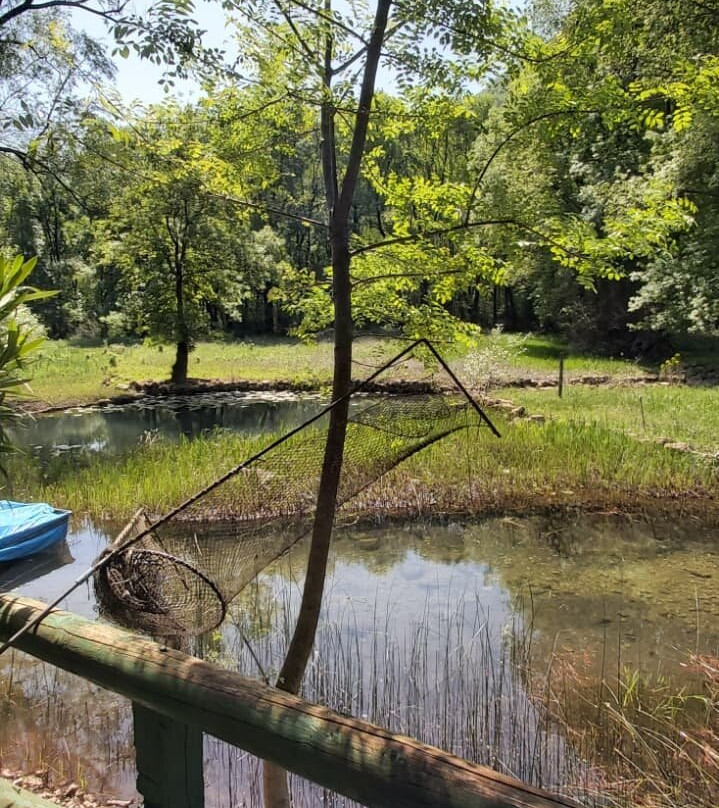 Lake Skadar-黑山共和国必去景点