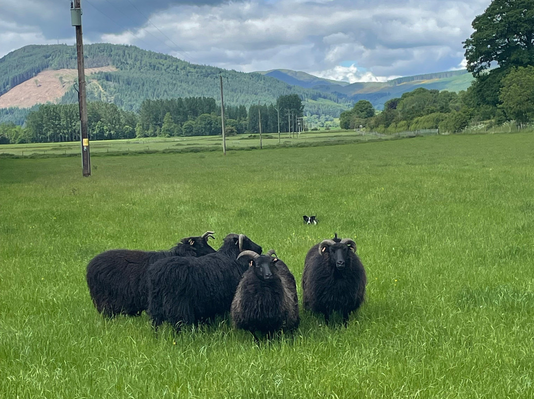 Lurgan Farm-Aberfeldy必去景点