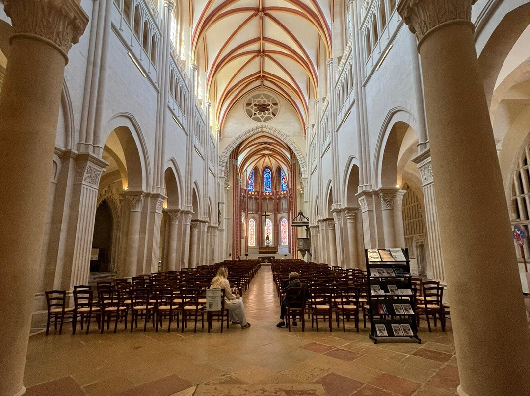 Cathédrale Saint Vincent-索恩河畔沙隆必去景点
