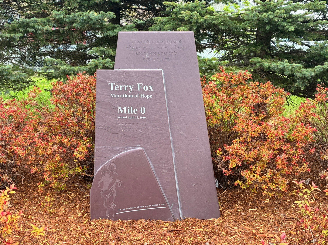 Terry Fox Monument-圣约翰必去景点