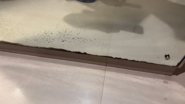 绿宝石凯富酒店-旅行者