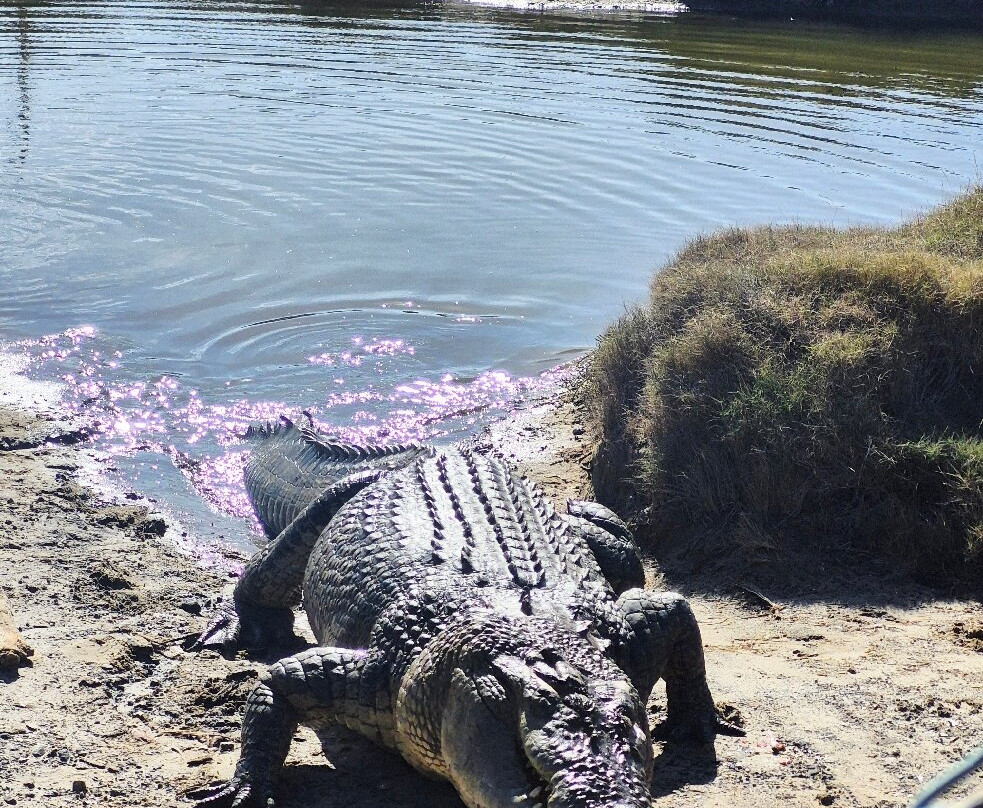 Koorana Crocodile Farm-Coowonga必去景点