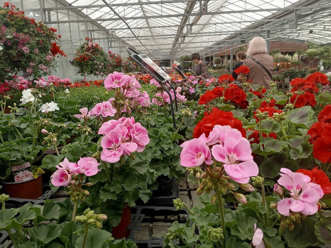Walker's Nurseries and Garden Centre-Blaxton必去景点