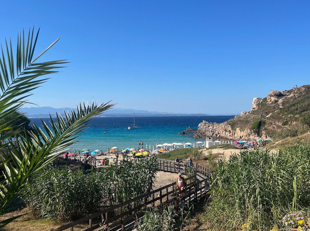 Spiaggia Rena Bianca-圣特雷莎加卢拉必去景点