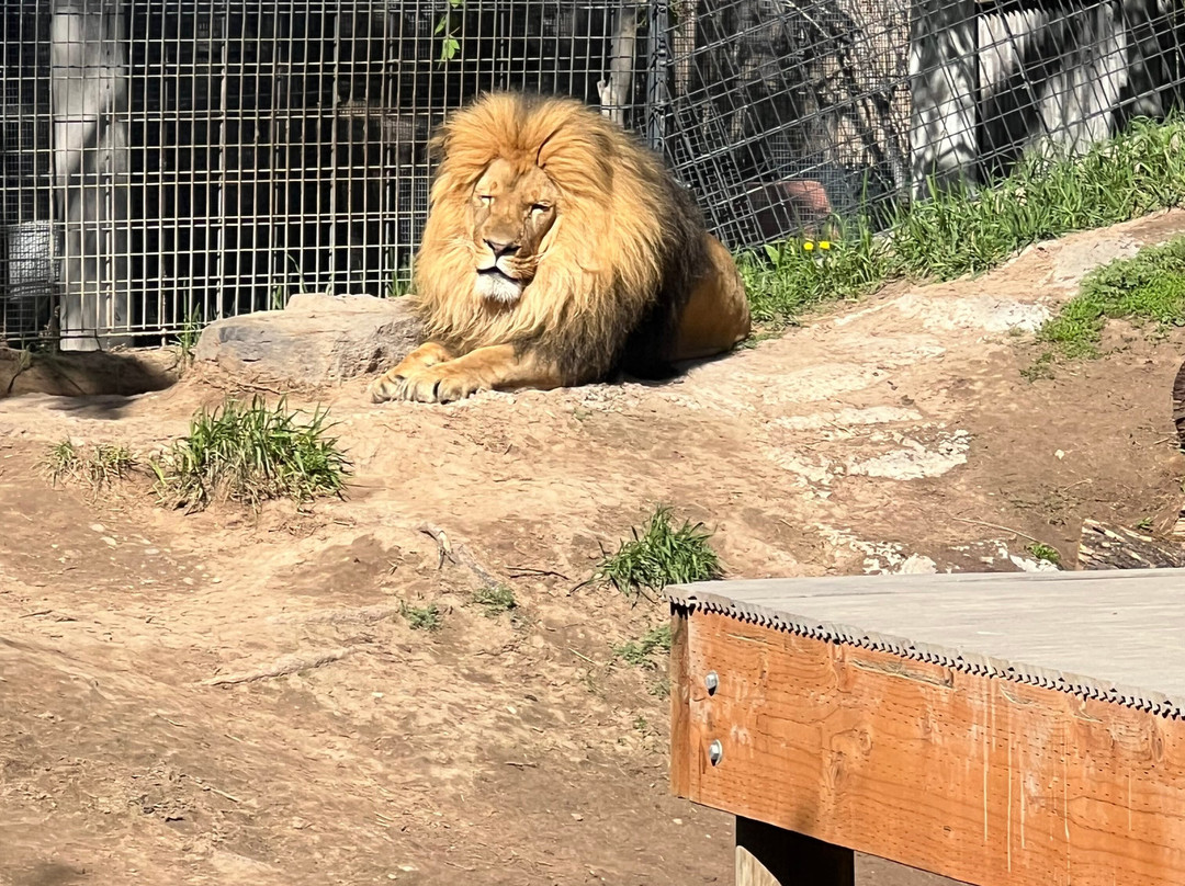 Idaho Falls Zoo-爱达荷福尔斯必去景点
