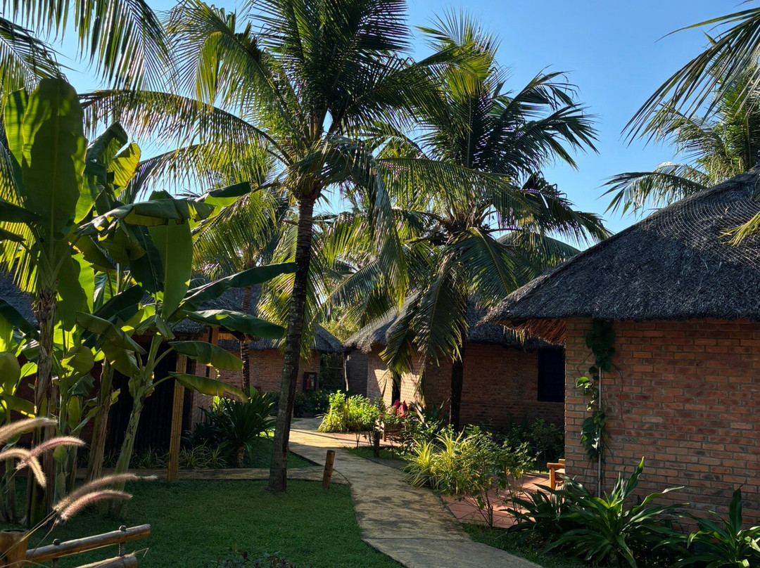 ENSO Retreat Hoi An - Rediscovery & Serenity主图