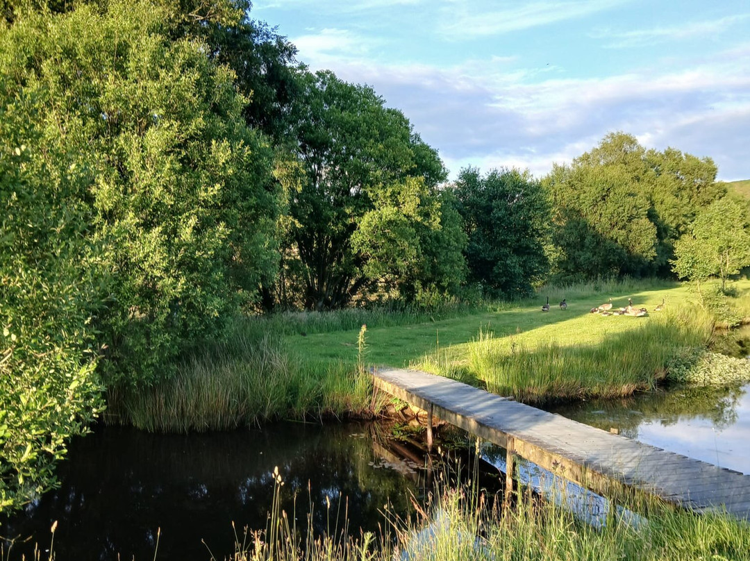 Llandegla Fishery-Llandegla必去景点