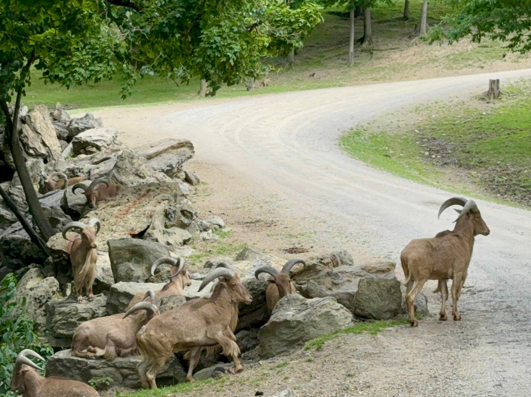 The Farm at Walnut Creek-Sugarcreek必去景点