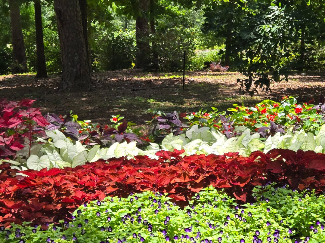 Garvan Woodland Gardens-温泉城必去景点