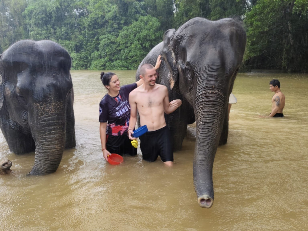 The Lake Phuket Elephant Home-Thep Krasatti必去景点