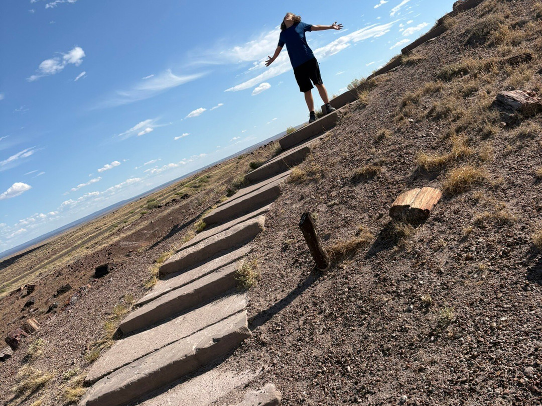 Petrified Forest National Park-霍尔布鲁克必去景点
