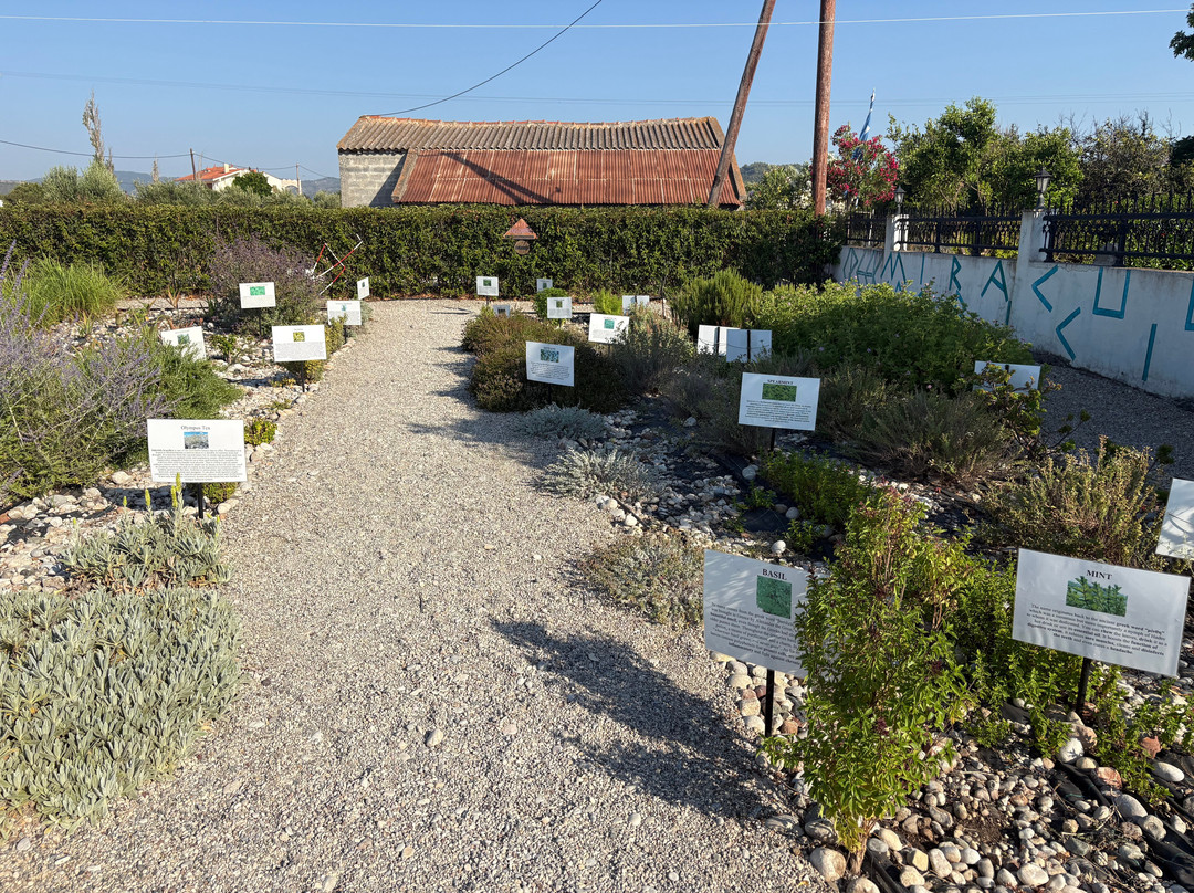 Aloe Vera & Herbal Health Farm-Fanes必去景点