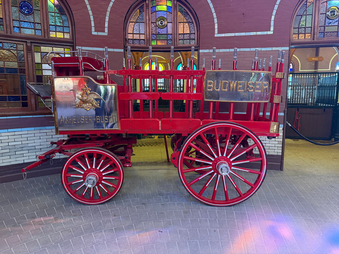 Budweiser Brewery Experience-圣路易斯必去景点