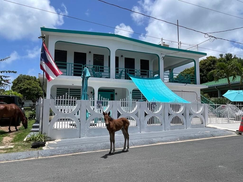 Coco Loco Guesthouse主图