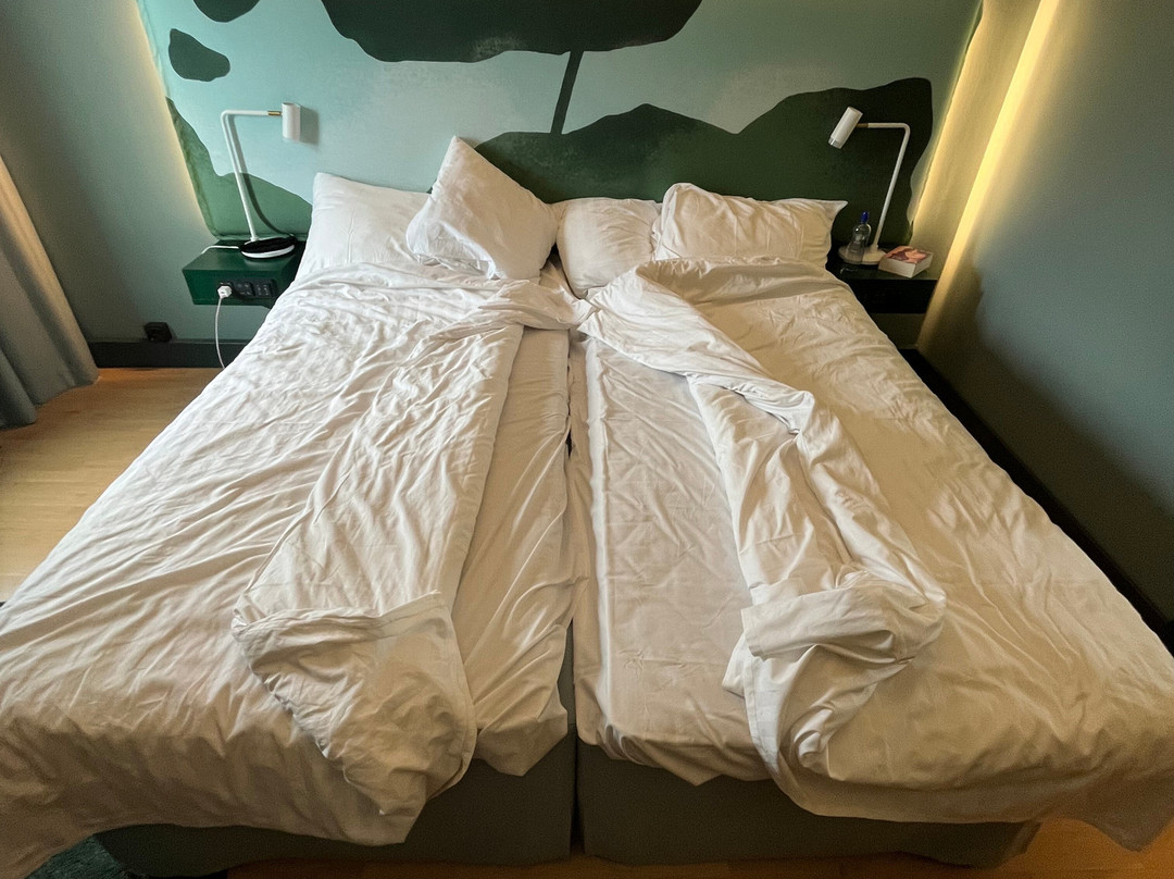 诺基亚斯堪的克艾登酒店主图