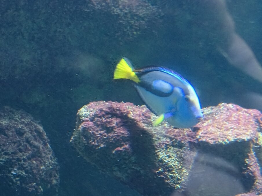 Aquarium La Rochelle-拉罗谢尔必去景点