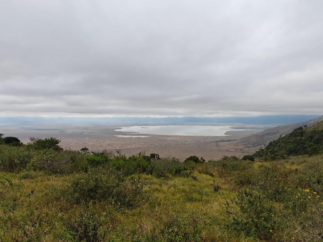 Ngorongoro Crater-恩戈罗恩戈罗保护区必去景点