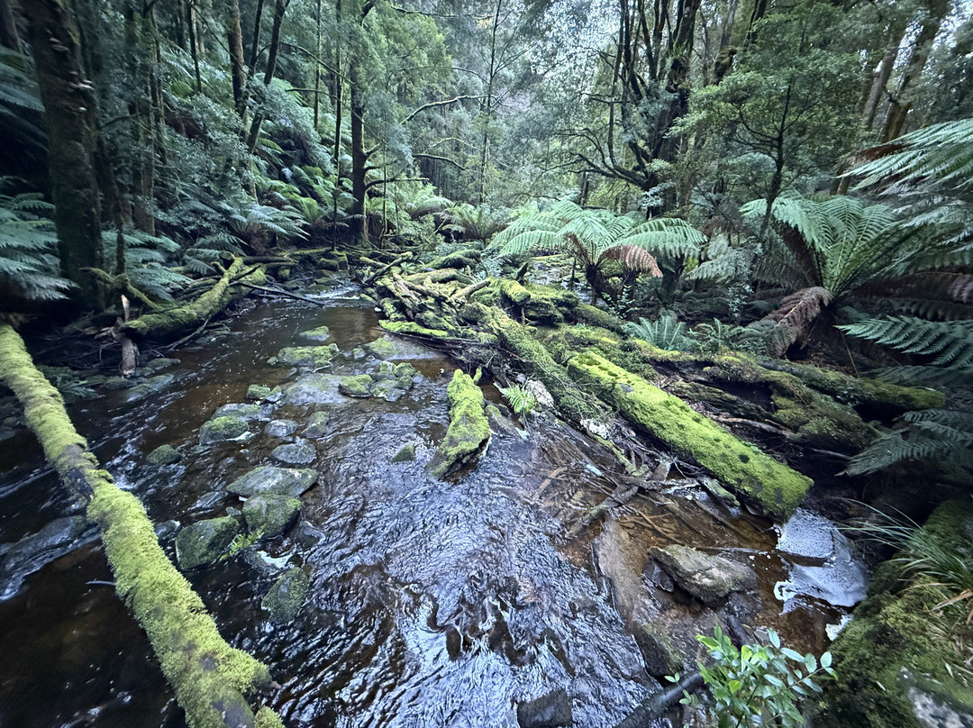 Nelson Falls-皇后镇必去景点