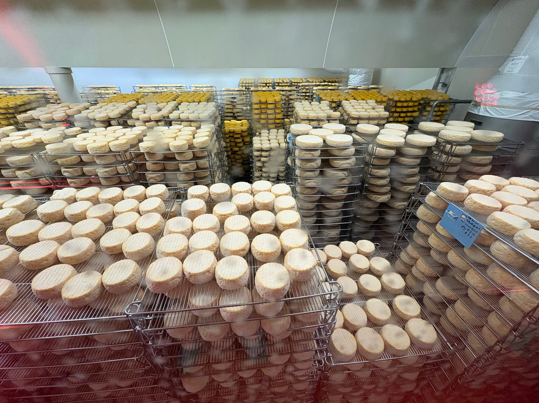 Fromagerie Graindorge-Livarot必去景点