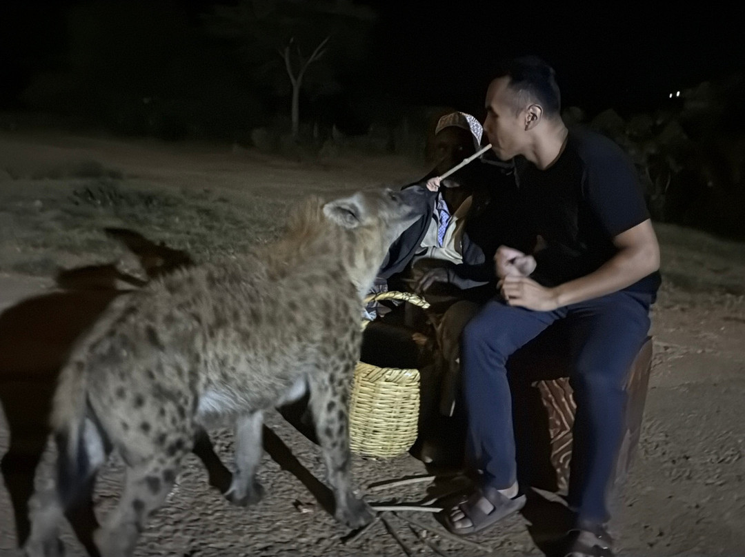 Joel Harar Tours Operator  and Tourist  Guide-哈勒尔必去景点